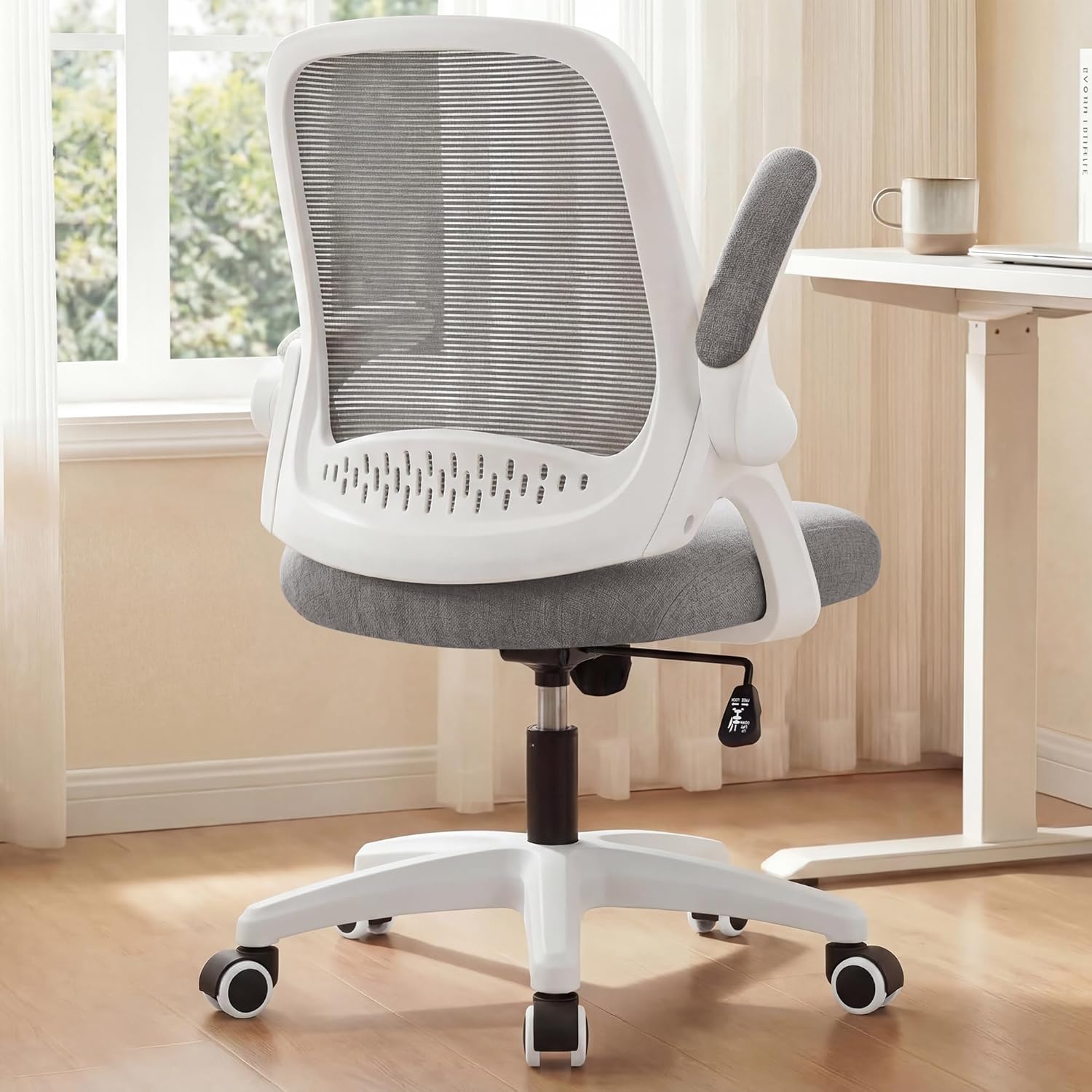Bel Desteği, Ayarlanabilir Yük - Home Office Ergonomics incelemesi ve fiyatı