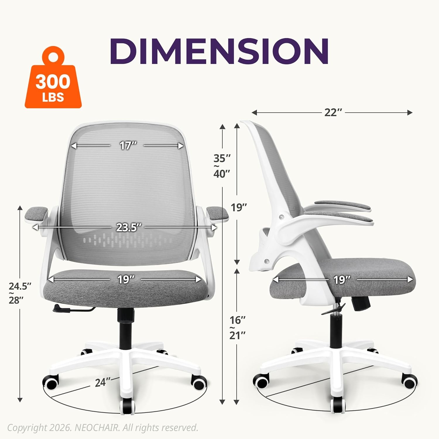 Bel Desteği, Ayarlanabilir Yük - Home Office Ergonomics incelemesi ve fiyatı