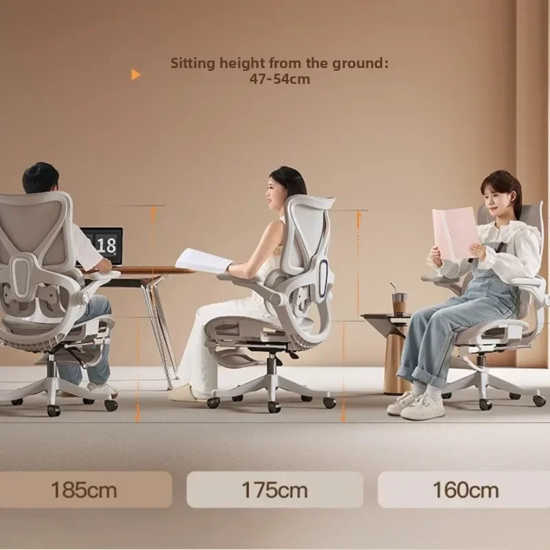 Yeni Ergonomik sandalye Bilgis - Home Office Ergonomics incelemesi ve fiyatı