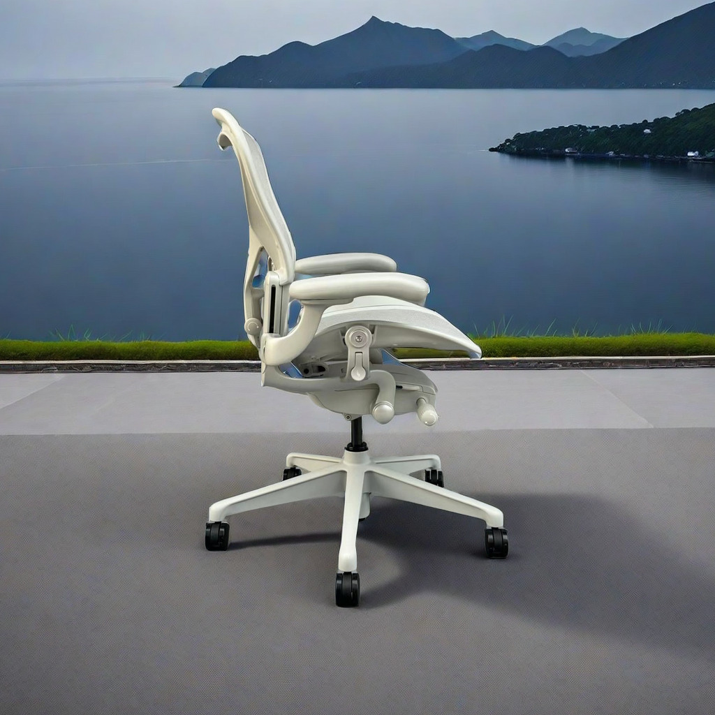 Ergonomik sandalye, hareketsiz - Home Office Representative incelemesi ve fiyatı
