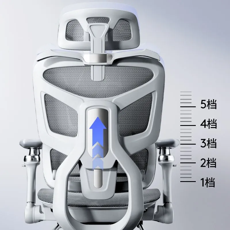 Ergonomik Bilgisayar Koltuğu B - Home Office Ergonomics incelemesi ve fiyatı